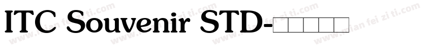 ITC Souvenir STD字体转换